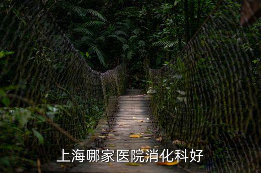 上海市仁濟醫院消化科好嗎，仁濟醫院消化內科東部好還是西部好