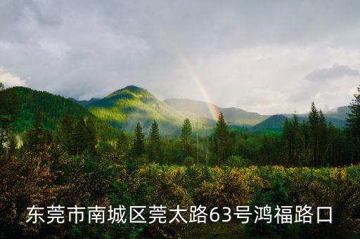 東莞市南城區莞太路63號鴻福路口