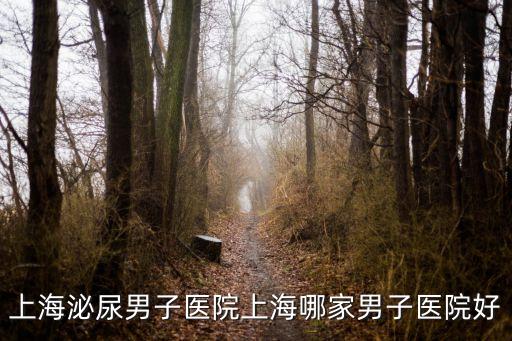 上海泌尿男子醫院上海哪家男子醫院好