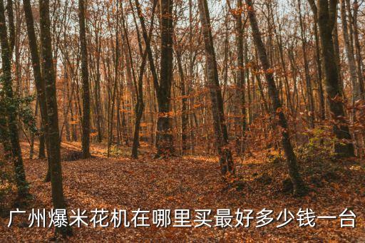 廣州美式爆米花機，廣東哪有賣爆米花機的