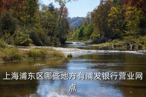 上海浦東區哪些地方有浦發銀行營業網點