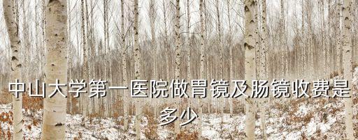 中山大學(xué)第一醫(yī)院做胃鏡及腸鏡收費(fèi)是多少