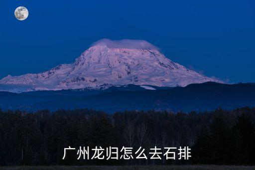 廣州龍歸怎么去石排