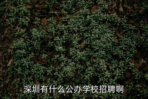 深圳有什么公辦學校招聘啊