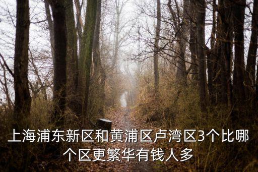 上海市黃浦盧灣一中心小學教師王群女圖，上海市黃浦區的 北京東路小學 和 裘錦秋小學 2011年招生范圍是哪里