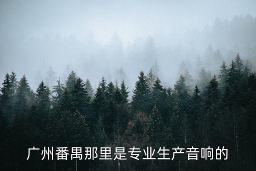 廣州番禺那里是專業生產音響的