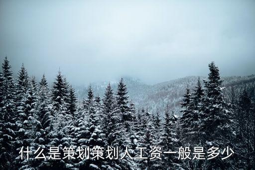 什么是策劃策劃人工資一般是多少