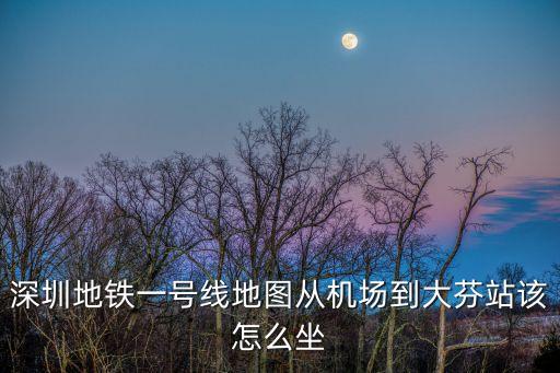 深圳地鐵一號線地圖從機場到大芬站該怎么坐