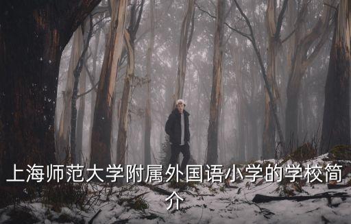 上海師范大學附屬外國語小學的學校簡介