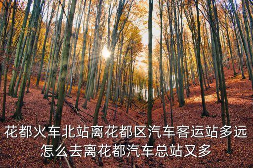 廣州北站到汽車站多遠，請問花都汽車站離廣州北站多遠走運路遠不