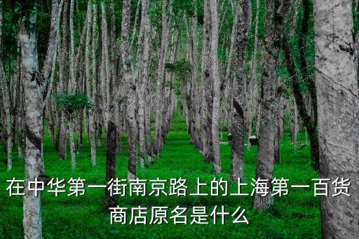 在中華第一街南京路上的上海第一百貨商店原名是什么