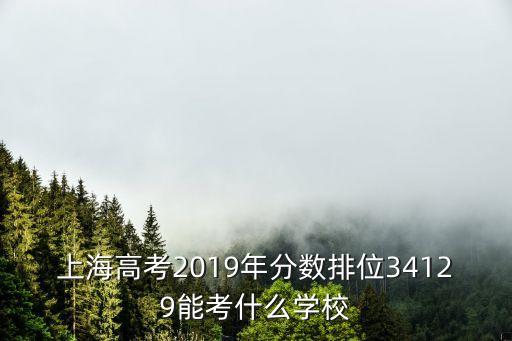 上海高考2019年分?jǐn)?shù)排位34129能考什么學(xué)校