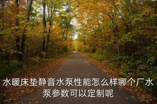 水暖床墊靜音水泵性能怎么樣哪個廠水泵參數可以定制呢