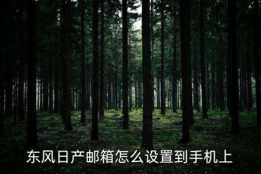 東風日產郵箱怎么設置到手機上