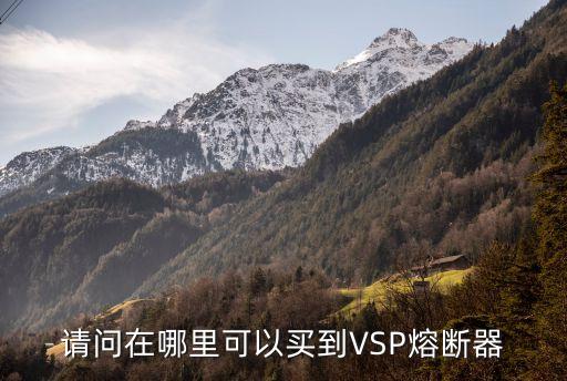 深圳直流熔斷器正品，請問在哪里可以買到VSP熔斷器