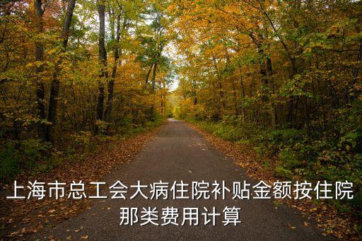 上海市大病每年補助，上海市大病醫療救助基金是怎么回事