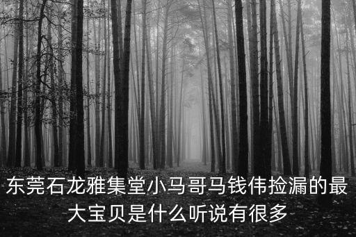 東莞石龍雅集堂小馬哥馬錢偉撿漏的最大寶貝是什么聽說有很多
