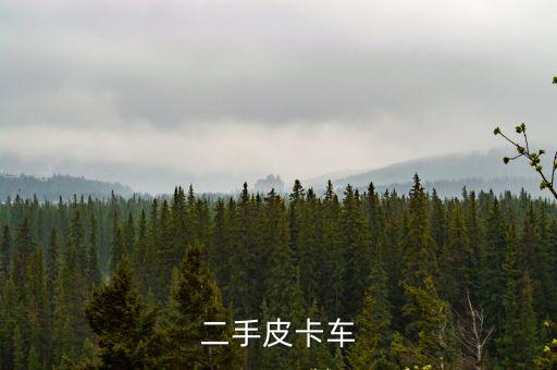 二手皮卡車