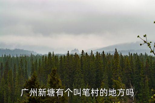 廣州新塘有個叫筆村的地方嗎