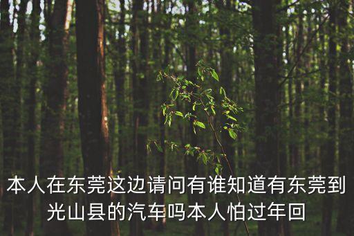 本人在東莞這邊請問有誰知道有東莞到光山縣的汽車嗎本人怕過年回