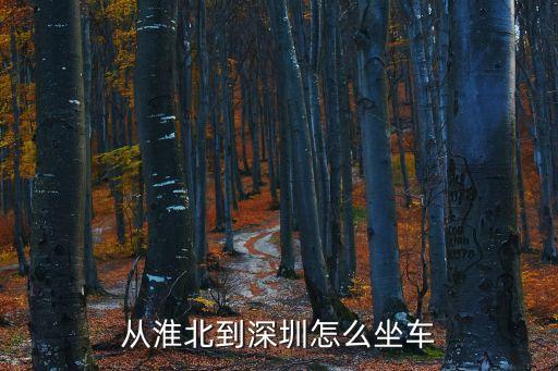 從淮北到深圳怎么坐車