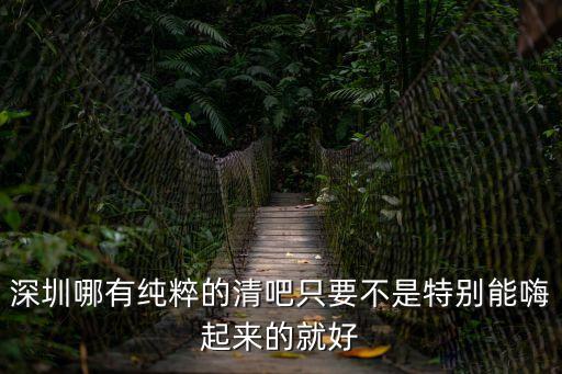 深圳哪有純粹的清吧只要不是特別能嗨起來的就好
