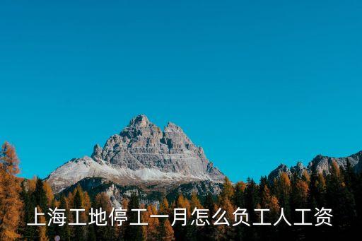 上海工地停工一月怎么負(fù)工人工資
