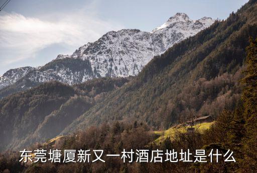 東莞塘廈新又一村酒店地址是什么