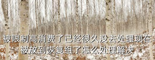 被限制高消費(fèi)了已經(jīng)很久沒(méi)去處理現(xiàn)在被放到恢復(fù)組了怎么處理解決