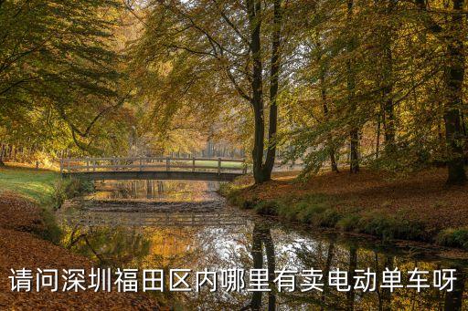 深圳福田區(qū)低價電動車供應(yīng)商，請問深圳福田區(qū)內(nèi)哪里有賣電動單車呀
