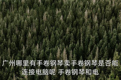 廣州哪里有手卷鋼琴賣，廣州哪里可以買鋼琴