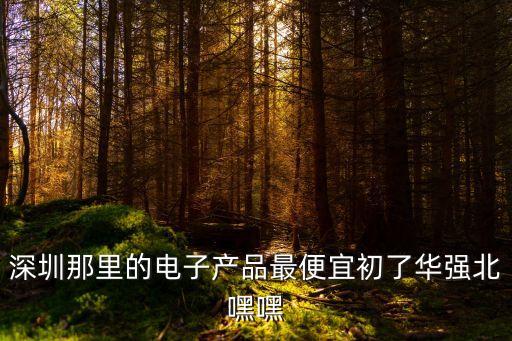 迪雅電子深圳，深圳市柯迪雅科技有限公司怎么樣