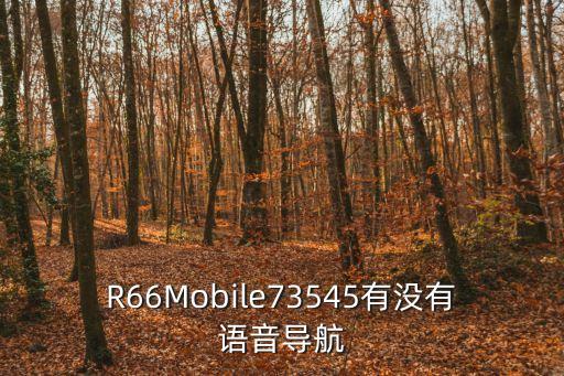 R66Mobile73545有沒有語音導航