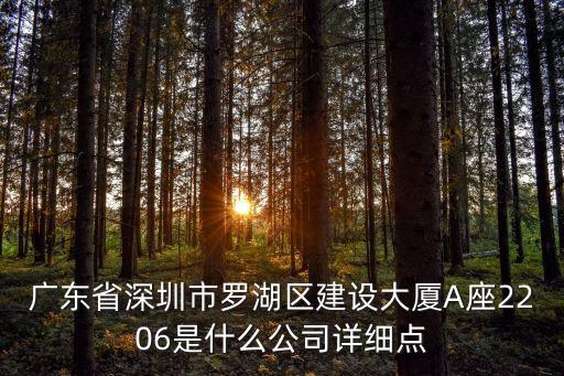 廣東省深圳市羅湖區建設大廈A座2206是什么公司詳細點