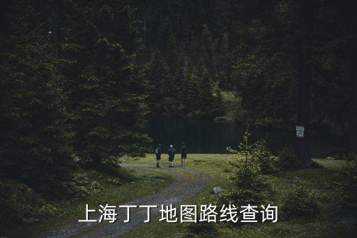 上海丁丁地圖路線查詢