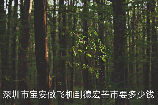 從深圳到芒市機票多少公里，深圳寶安機場到芒市的票價