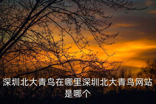深圳北大青鳥在哪里深圳北大青鳥網站是哪個