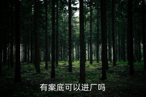 有案底可以進(jìn)廠嗎