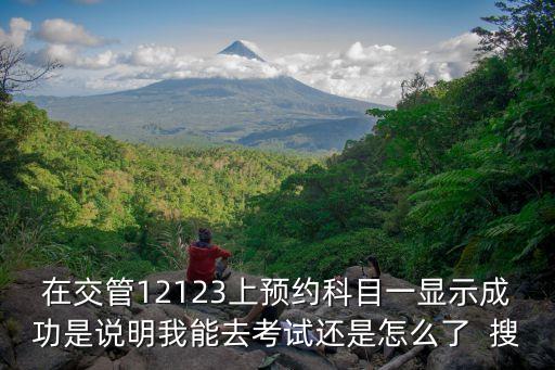 在交管12123上預約科目一顯示成功是說明我能去考試還是怎么了  搜