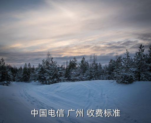 中國電信 廣州 收費標準