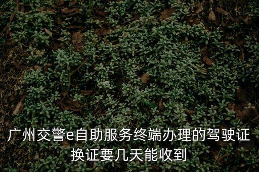 廣州交警e自助服務終端辦理的駕駛證換證要幾天能收到