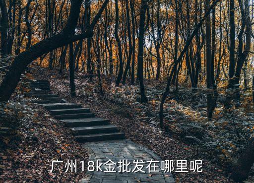 廣州18k金批發(fā)在哪里呢