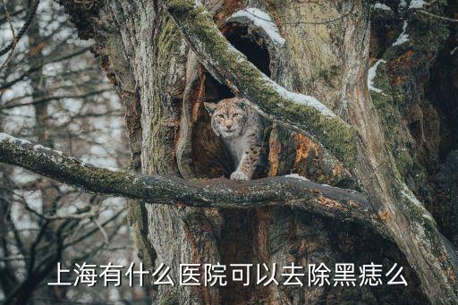 上海市黑痣醫院，上海有什么醫院可以去除黑痣么