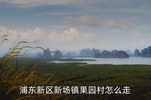 浦東新區(qū)新場(chǎng)鎮(zhèn)果園村怎么走