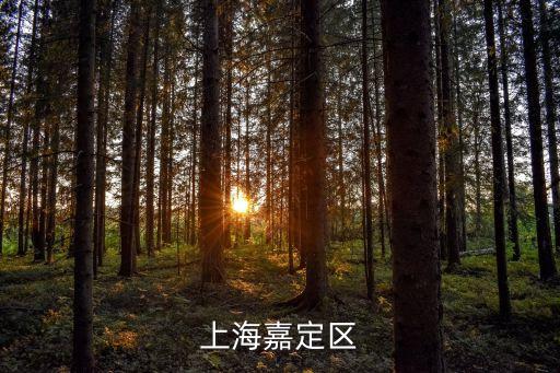 上海市嘉定區嘉源小區圖片，誰可以把上海嘉定區的小區名字和位置給匯總下我愿意把分加到700
