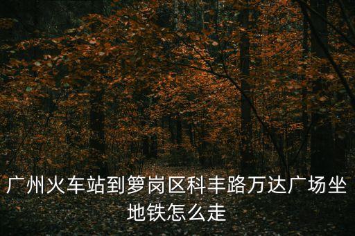 廣州火車站到籮崗區科豐路萬達廣場坐地鐵怎么走