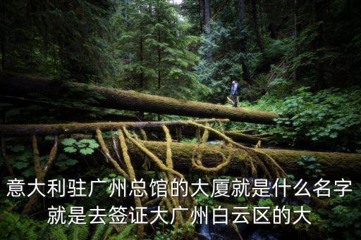 意大利駐廣州總館的大廈就是什么名字就是去簽證大廣州白云區的大