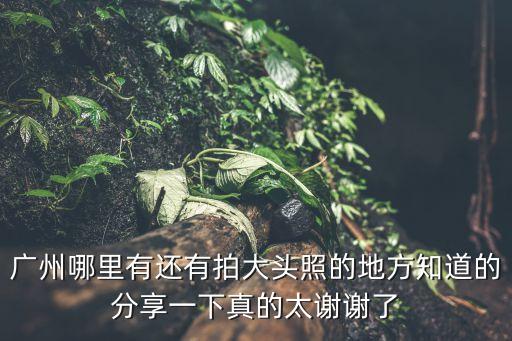廣州哪里有還有拍大頭照的地方知道的分享一下真的太謝謝了