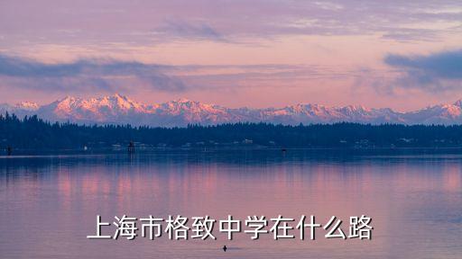 上海市格致中學布局圖片，上海市格致初級中學的地址及交通