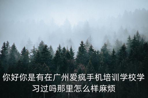 你好你是有在廣州愛瘋手機培訓學校學習過嗎那里怎么樣麻煩